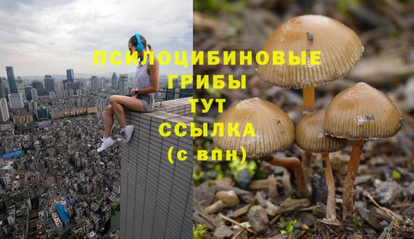 кокаин премиум Приозерск